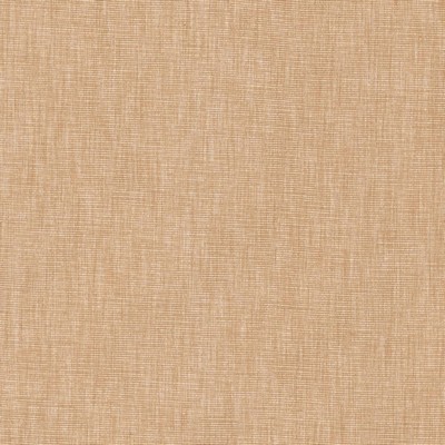 Kasmir BELTRAN          ASH ROSE        